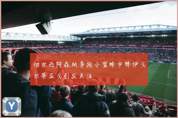 切尔西阿森纳争抢小蜜蜂中锋伊戈尔蒂亚戈引发关注